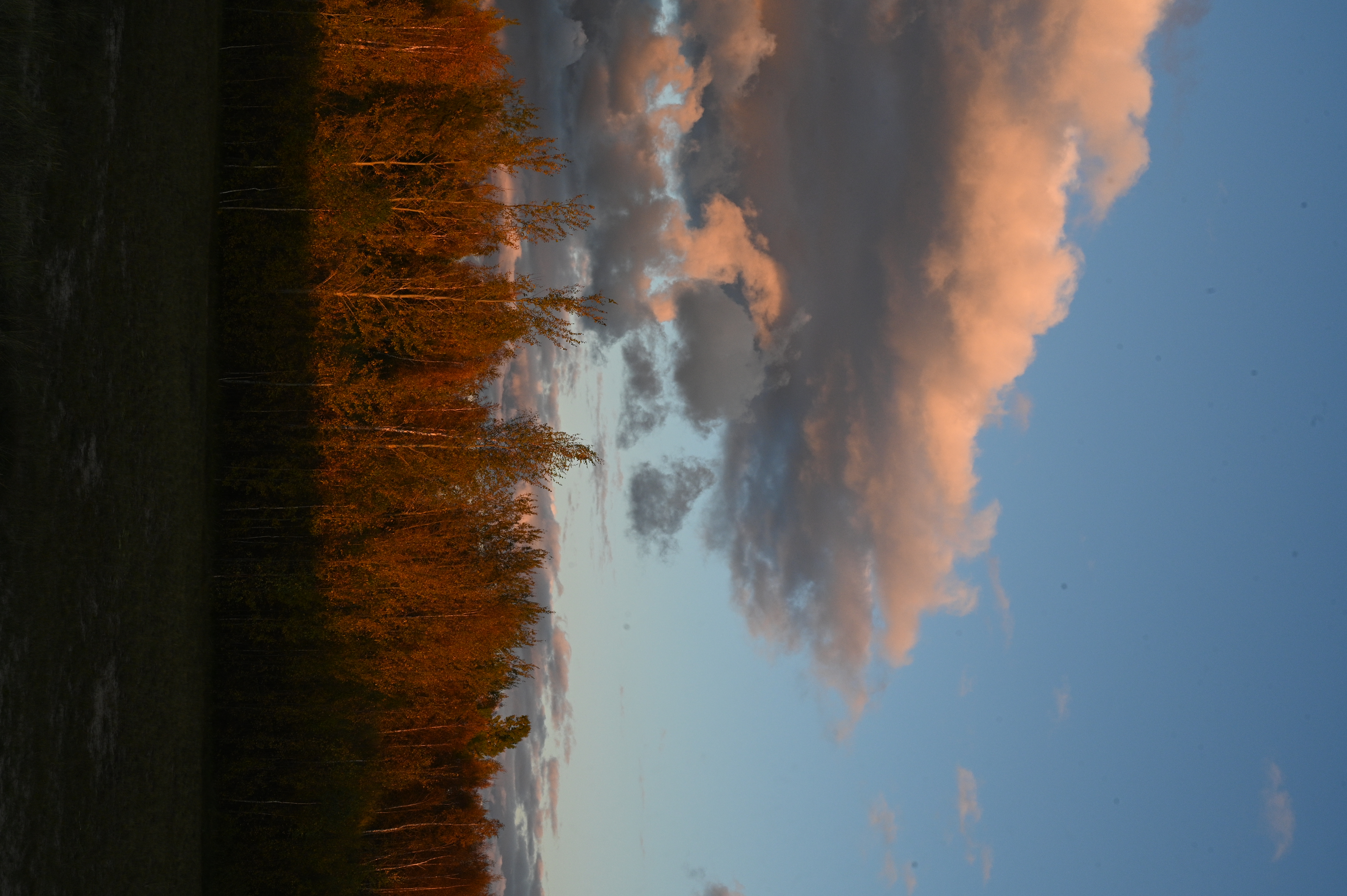 2025/10/18 - walk/DSC_0407.JPG